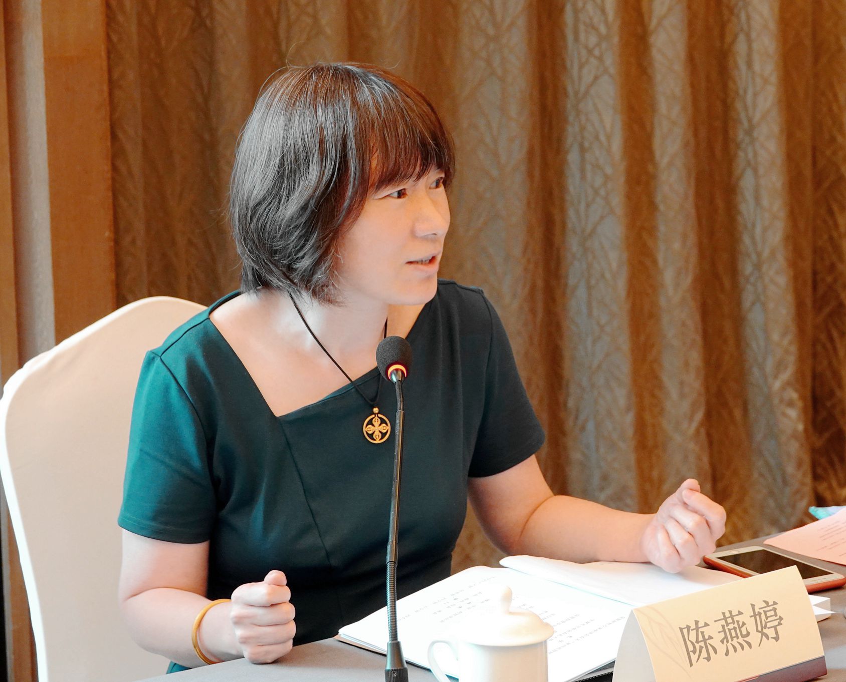 中国艺术研究院音乐研究所研究员陈燕婷在国家级非遗传承人陈练传承南音80年专家座谈会发言